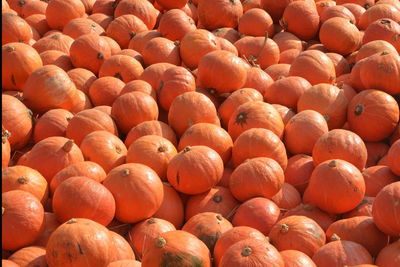 Full frame shot of pumpkins at market stall