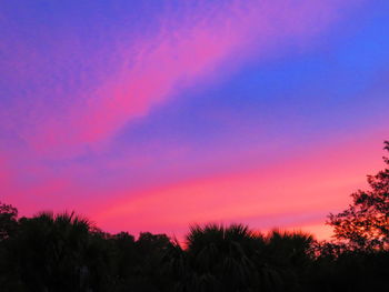 Silhouette trees against dramatic sky during sunset