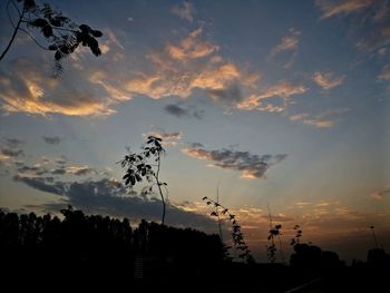 Low angle view of silhouette trees against sky during sunset