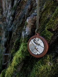 Close-up of clock on rock against tree trunk