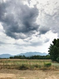 Scenic view of landscape against sky