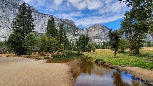 Scenic view of lake by trees against sky