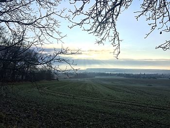 Scenic view of agricultural field against sky