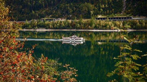 Scenic view of lake in forest