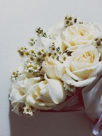 Close-up of white roses