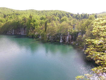 Scenic view of river with trees in background