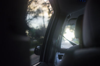 Close-up of trees in car