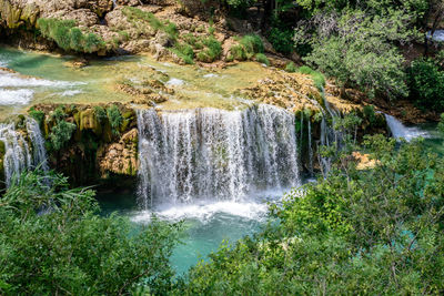 Scenic view of waterfall in forest