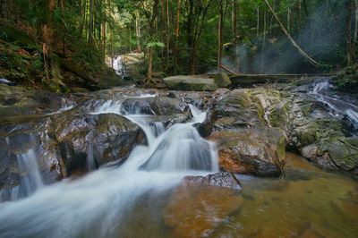 Scenic view of waterfall in forest