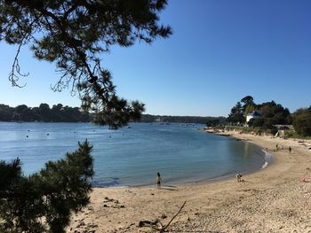 Scenic view of beach against blue sky