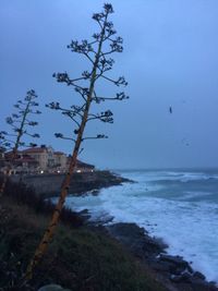 View of calm sea against blue sky