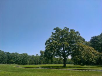 Scenic view of grassy field against blue sky