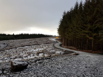 Road amidst trees against sky during winter