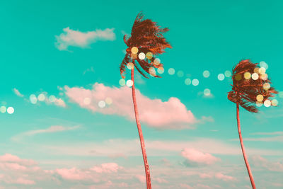 Low angle view of palm trees against sky