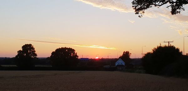Silhouette trees on field against sky during sunset