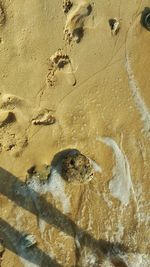 High angle view of footprints on wet sand