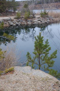 High angle view of lake along trees