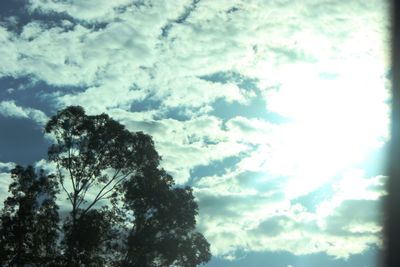 Low angle view of trees against cloudy sky