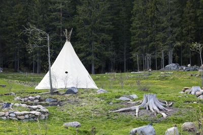 Tent on field by trees in forest