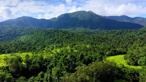 Tropical rainforest green clouds on sky farm land on bottom beautiful nature