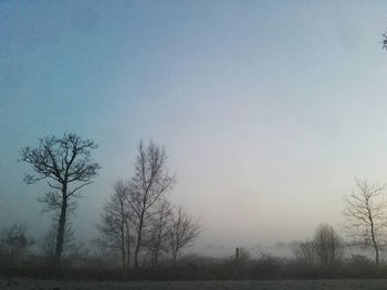 Bare trees on landscape against clear sky