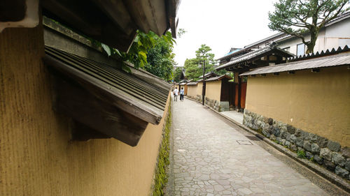 Houses by trees