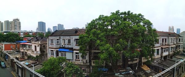 Trees and residential buildings against sky