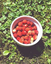 Close-up of strawberries in bowl on grass