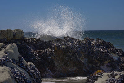 Sea waves splashing on rocks against sky