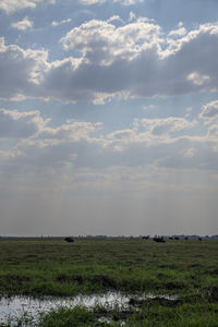 Scenic view of field against sky