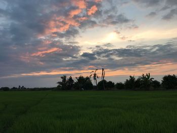 Scenic view of field against sky during sunset