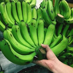 Cropped image of hand holding fruit at market