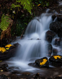 Scenic view of waterfall