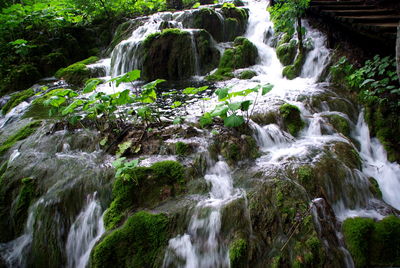 Scenic view of waterfall