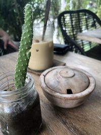 Close-up of succulent plant on table