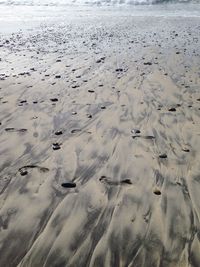 Tranquil scene of beach