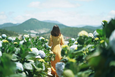 Rear view of woman by flowering plants against sky