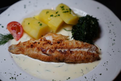 Close-up of meal served in plate