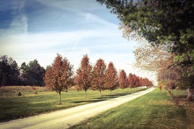 Road passing through field