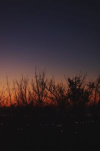 Silhouette plants against sky during sunset