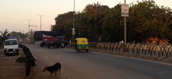 View of vehicles on road in city