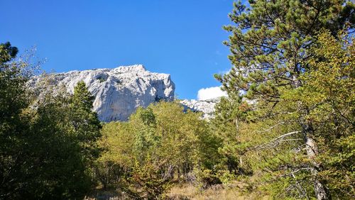 Scenic view of trees and mountains against clear sky