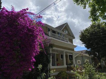 Low angle view of pink flowering tree by building against sky