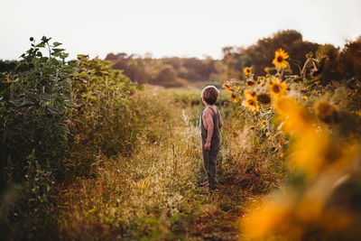 Child in dungarees standing in a sunflower field looking away