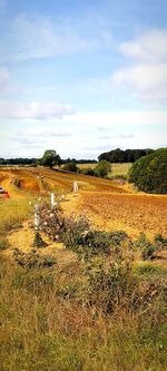 Scenic view of field against sky