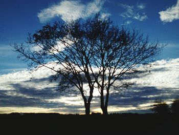 Silhouette bare tree against sky