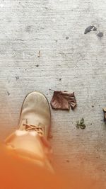 Low section of man wearing shoes on leaves