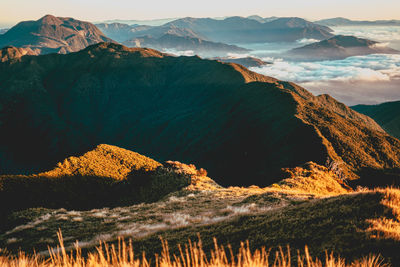 Scenic view of the sea of clouds at the summit of mount pulag national park, benguet, philippines.