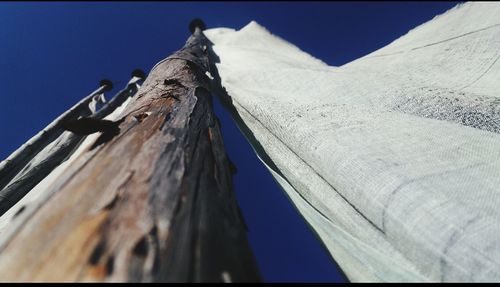 Low angle view of tree against blue sky