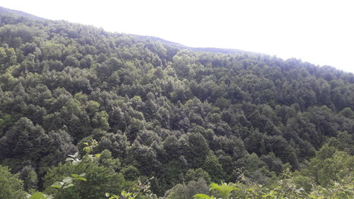 High angle view of trees and mountains against sky